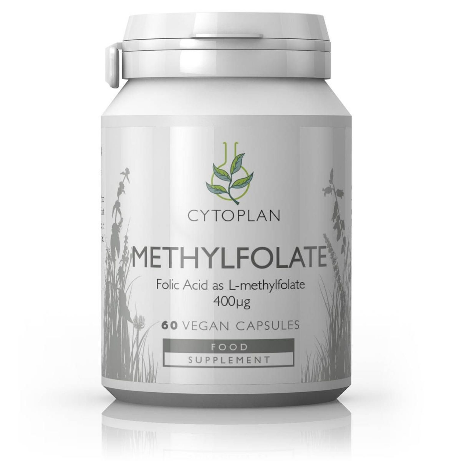methylated folic acid supplement        <h3 class=